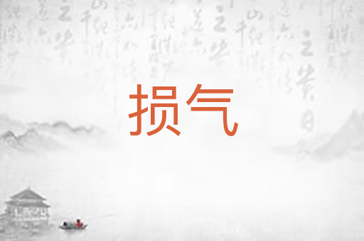损气