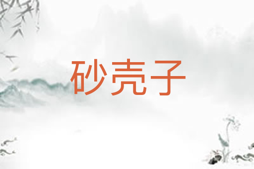 砂壳子