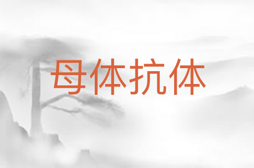 母体抗体