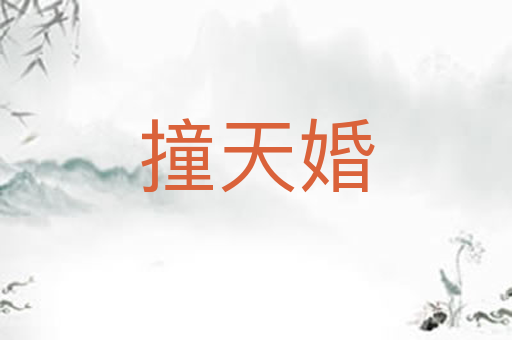 撞天婚