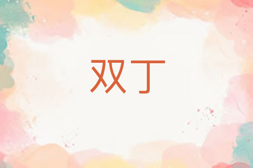 双丁