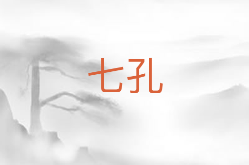 七孔
