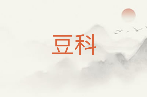 豆科