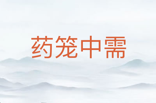 药笼中需