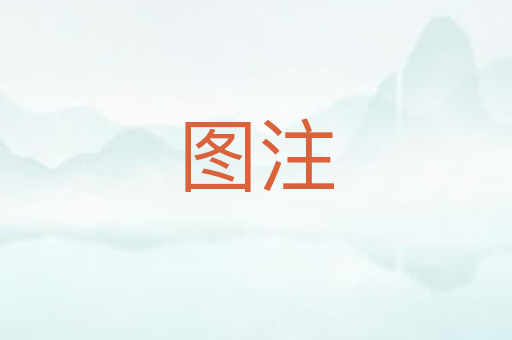 图注