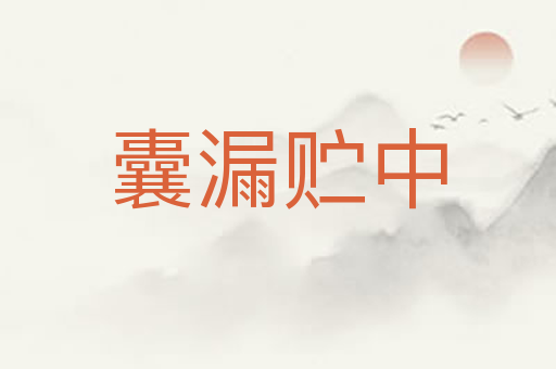 囊漏贮中
