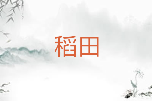 稻田
