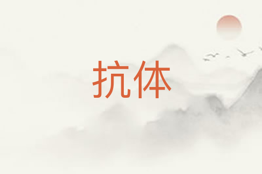 抗体