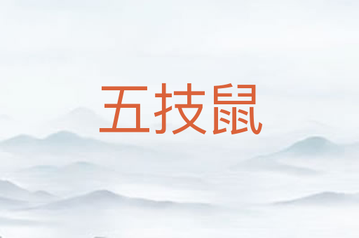 五技鼠
