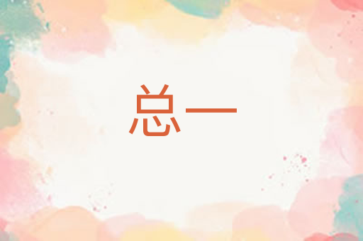 总一