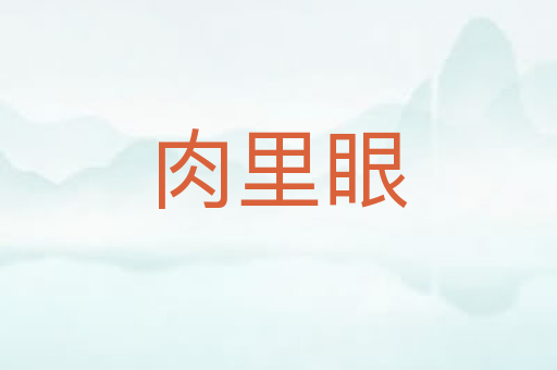 肉里眼