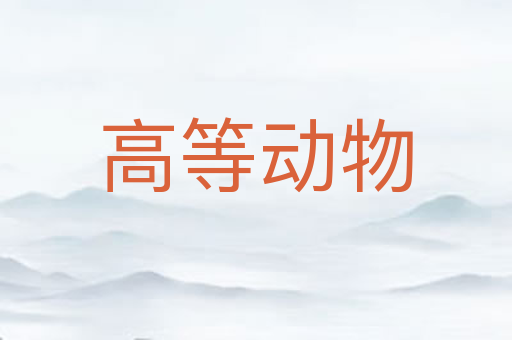 高等动物