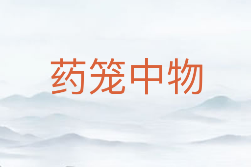药笼中物