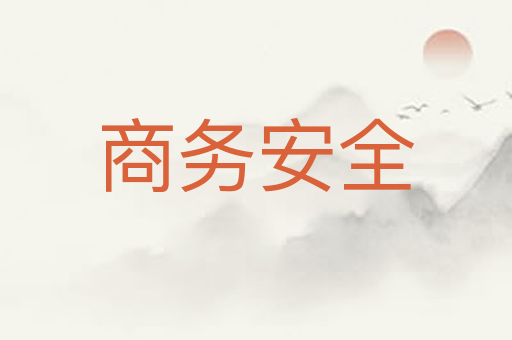 商务安全
