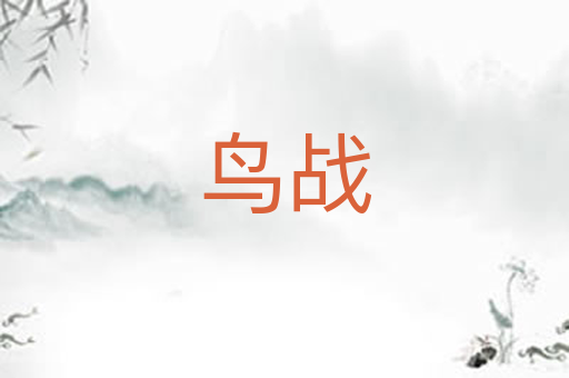 鸟战
