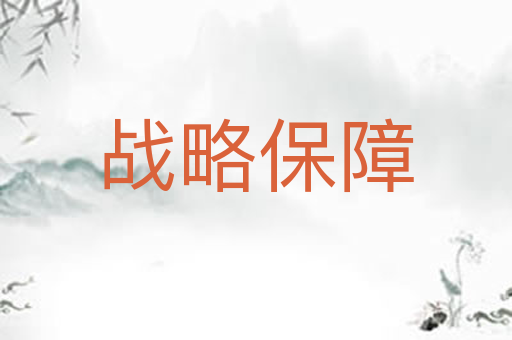 战略保障