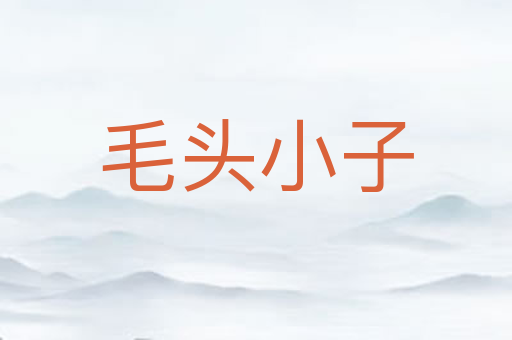 毛头小子