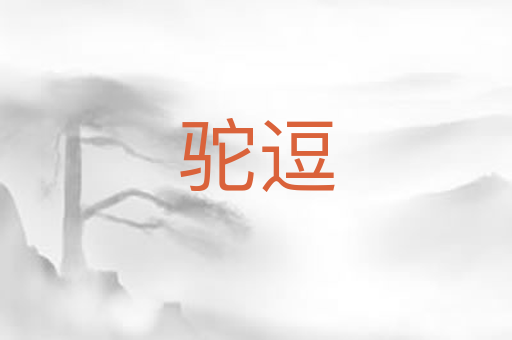 驼逗