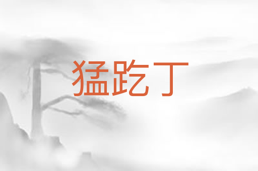 猛趷丁