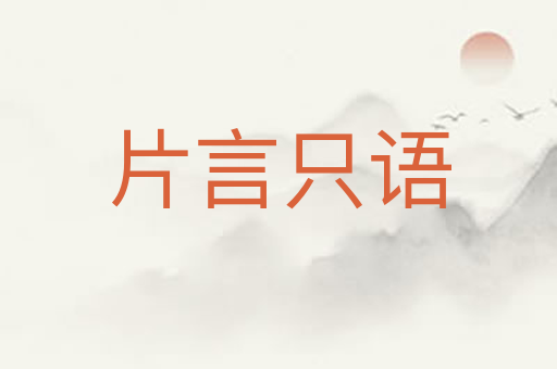 片言只语