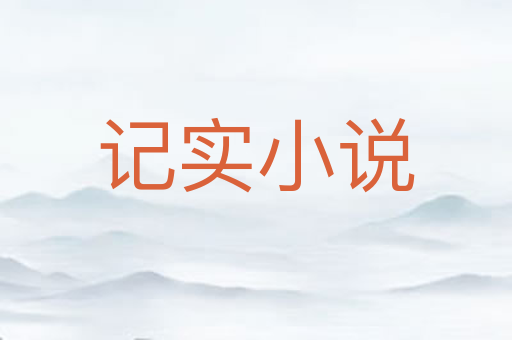 记实小说