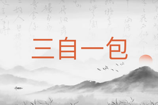 三自一包