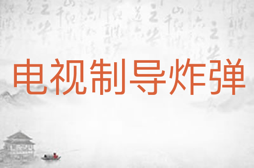 电视制导炸弹