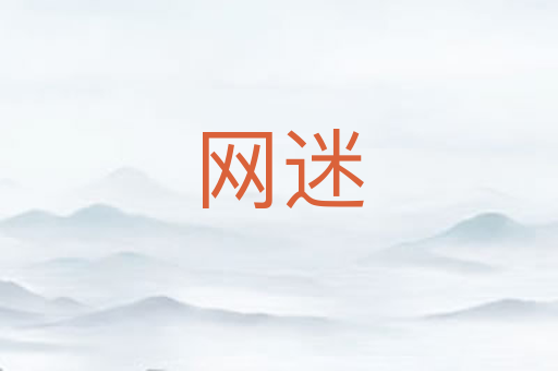 网迷