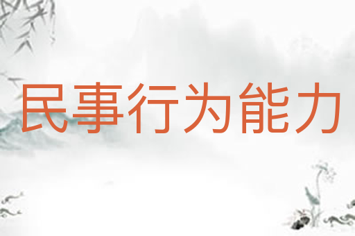 民事行为能力