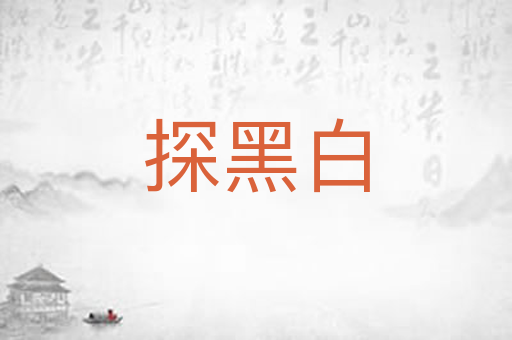 探黑白