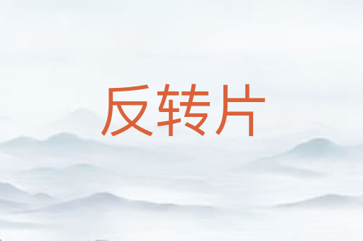 反转片