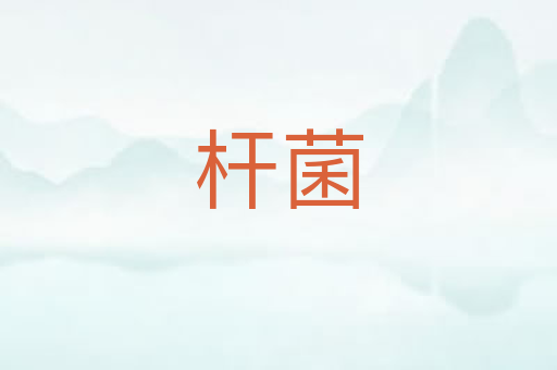 杆菌