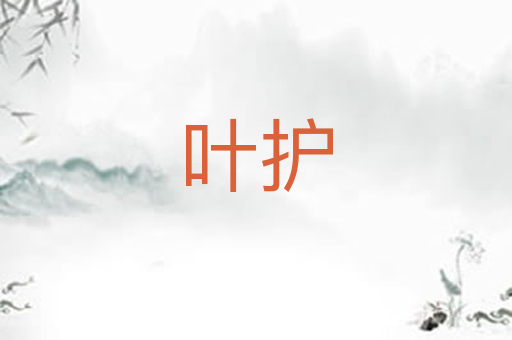 叶护