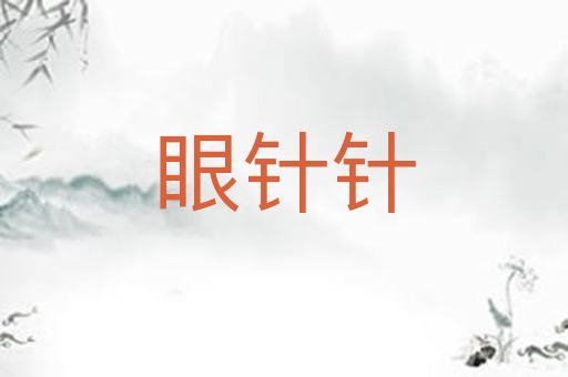 眼针针