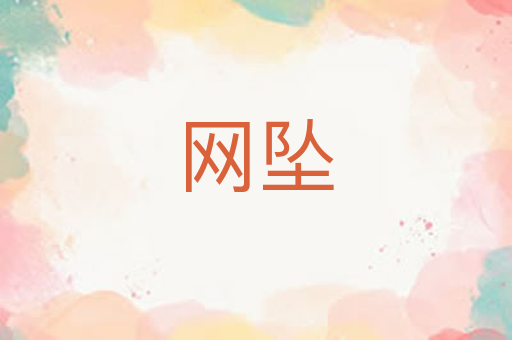 网坠