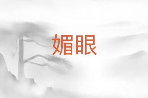媚眼