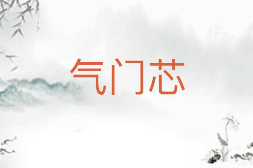 气门芯