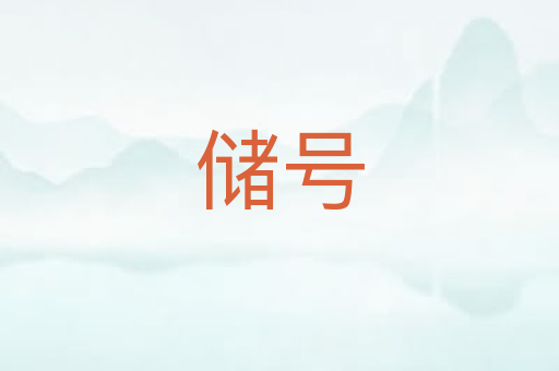 储号