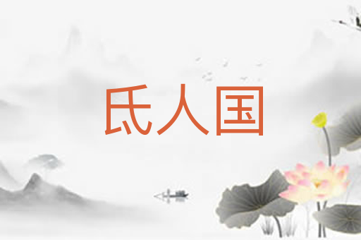 氐人国