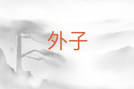 外子
