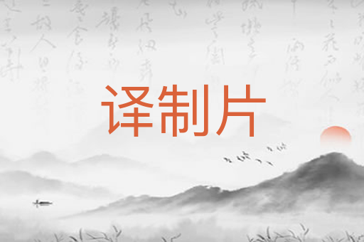 译制片