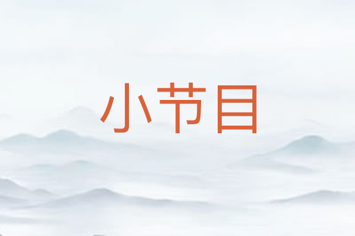 小节目