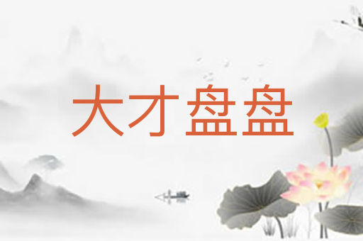 大才盘盘