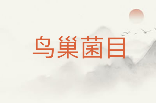 鸟巢菌目