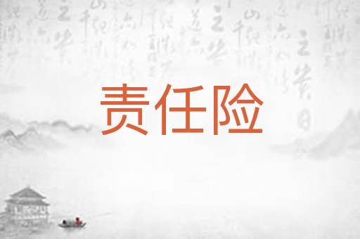 责任险