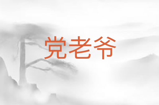 党老爷