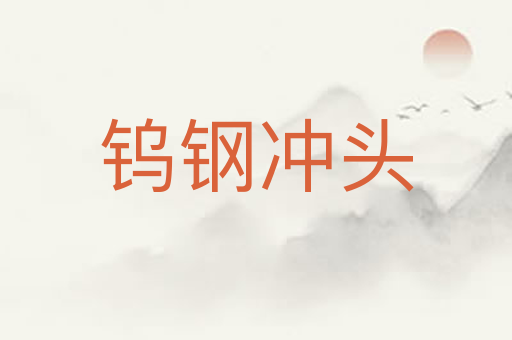 钨钢冲头