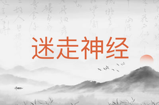迷走神经