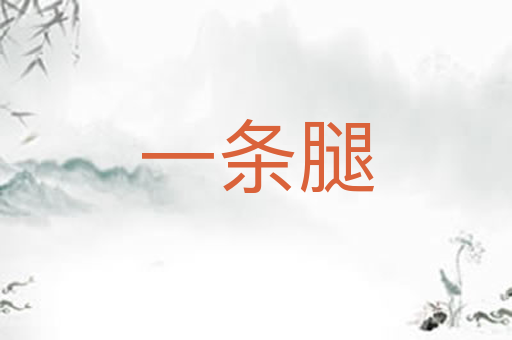 一条腿