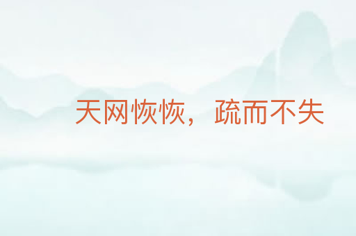 天网恢恢，疏而不失